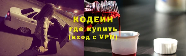 крисы Дедовск