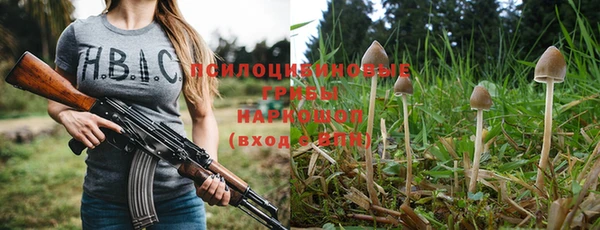 мет Арсеньев