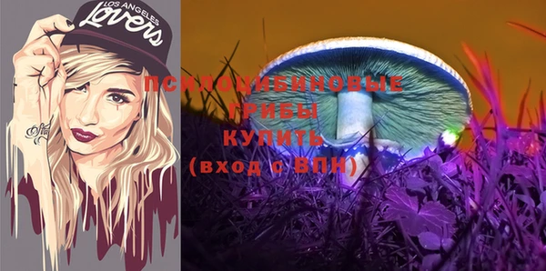 мет Арсеньев
