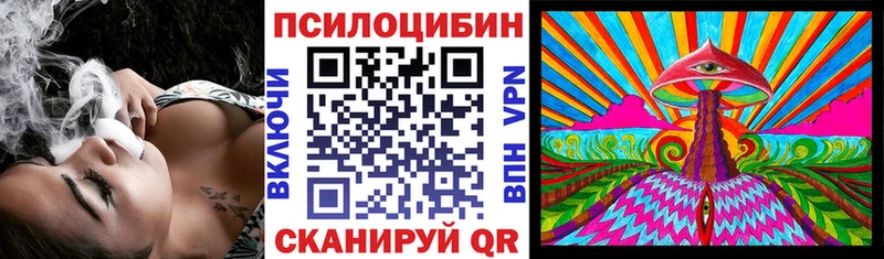 закладка  Ивдель  Галлюциногенные грибы Magic Shrooms 